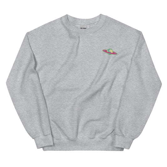 Unisex Sweatshirt | Embroidered | Earth B